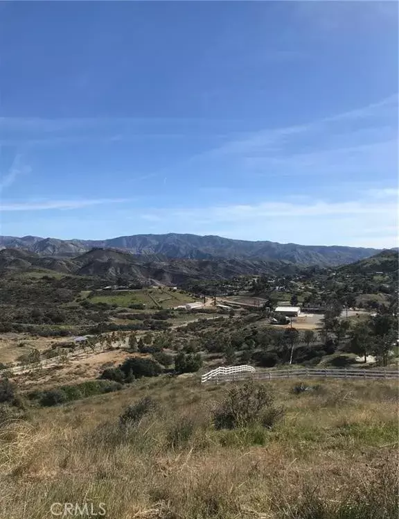 Agua Dulce, CA 91350,0 Vac/Vic Willow Ln/ Woolsox