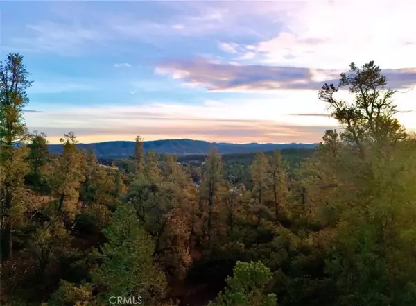 Frazier Park, CA 93225,0 Holly