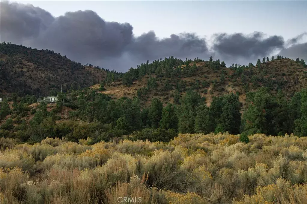 Frazier Park, CA 93225,0 Curtis Trl