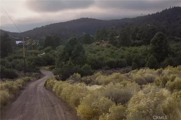 Frazier Park, CA 93225,0 Curtis Trl