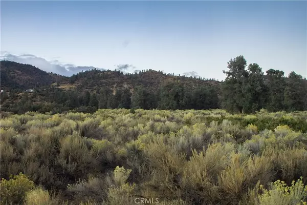 Frazier Park, CA 93225,0 Curtis Trl