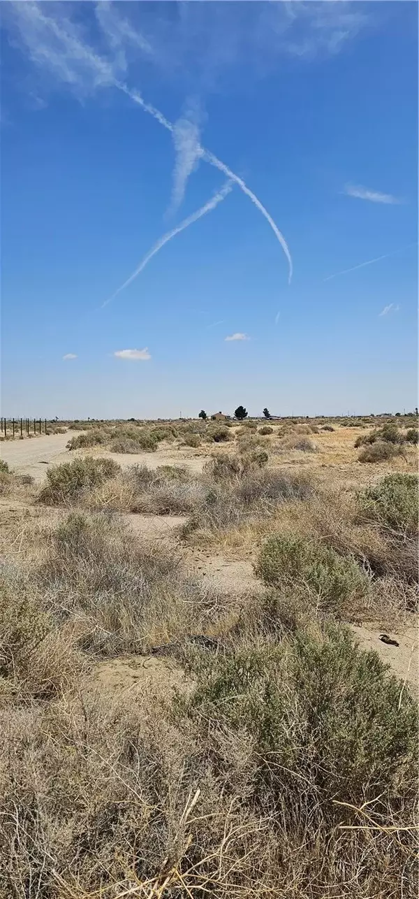 Rosamond, CA 93560,0 George