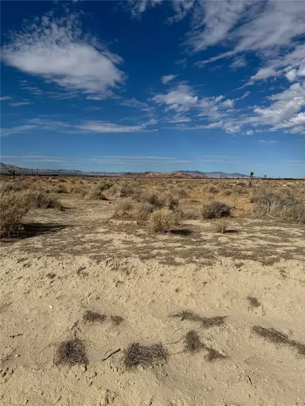 Rosamond, CA 93560,85 th Street W