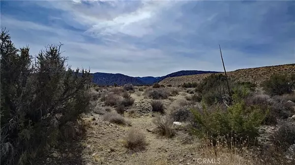 Llano, CA 93544,0 Vicinity Ave Z8 & 235th St E
