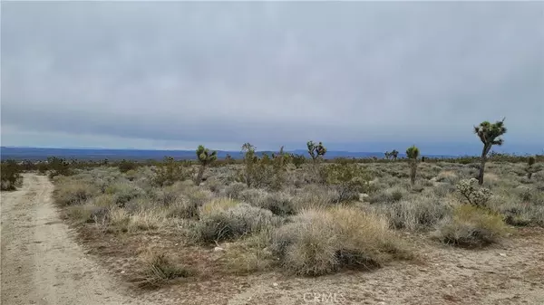 Llano, CA 93544,0 202nd St E & Ave X4