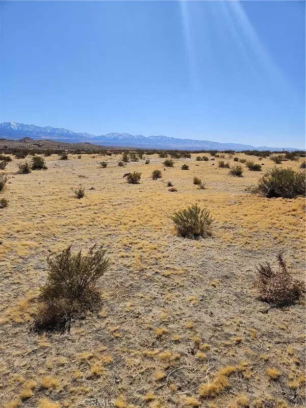 Palmdale, CA 93591,0 225th East