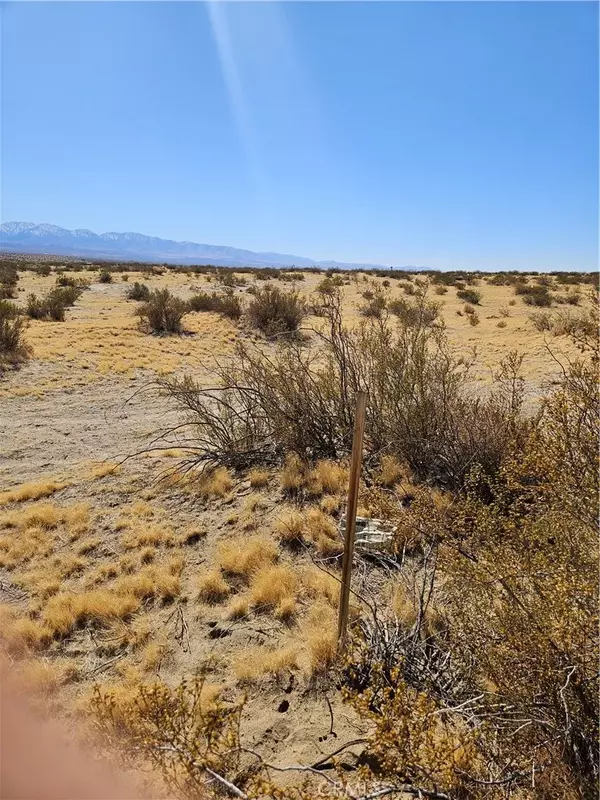 Palmdale, CA 93591,0 225th East