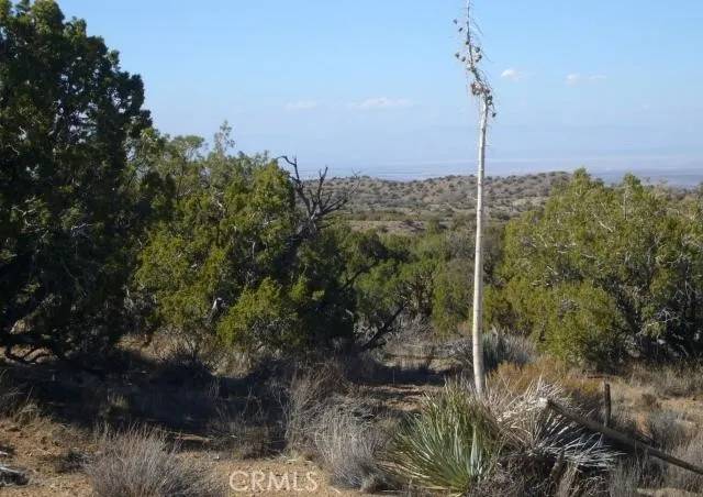 Juniper Hills, CA 93543,1 E Avenue Z2/118 Ste