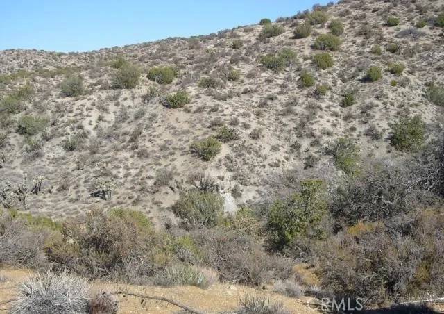 Juniper Hills, CA 93543,1 E Avenue Z2/118 Ste