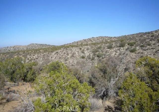 Juniper Hills, CA 93543,1 E Avenue Z2/118 Ste
