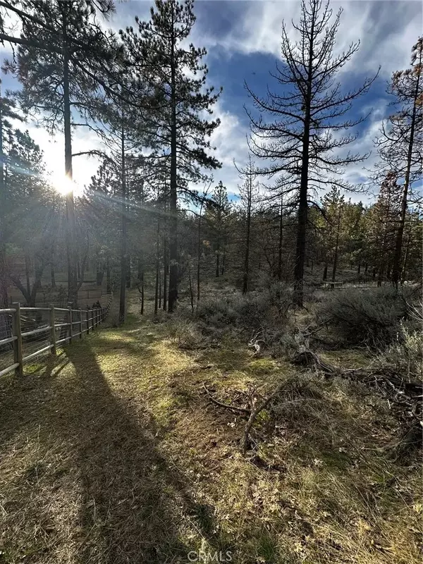 Tehachapi, CA 93561,25641 Paramount