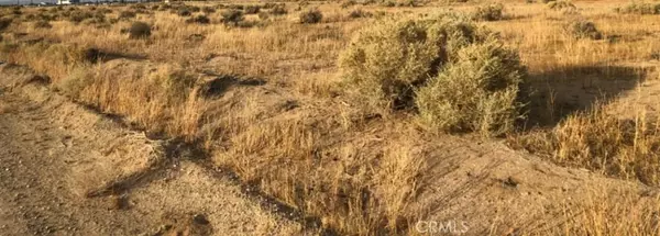 0 wonder Valley, 29 Palms, CA 92277