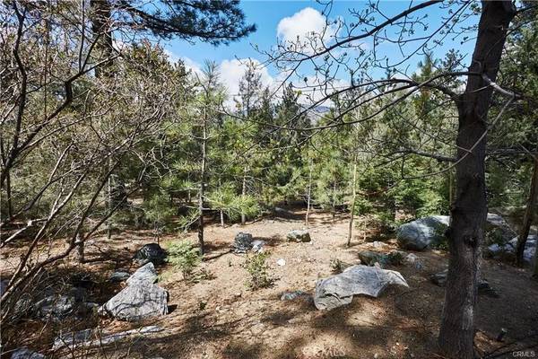 1700 Linden, Pine Mountain Club, CA 93222