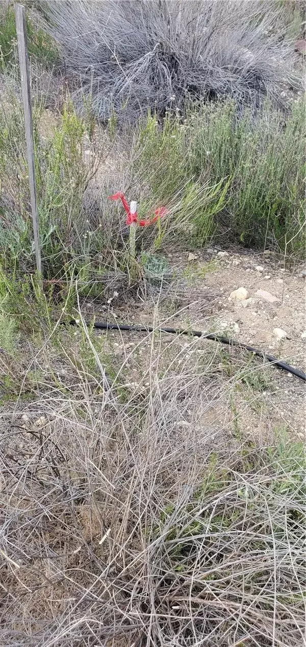 Newhall, CA 91321,0 Vacant