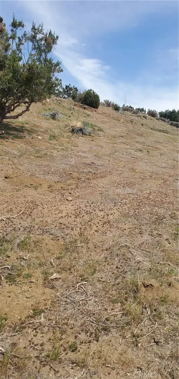 Acton, CA 93550,0 Soledad Pass/Hillside