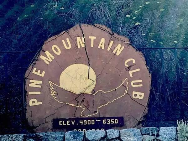 Pine Mountain Club, CA 93225,2216 Woodland