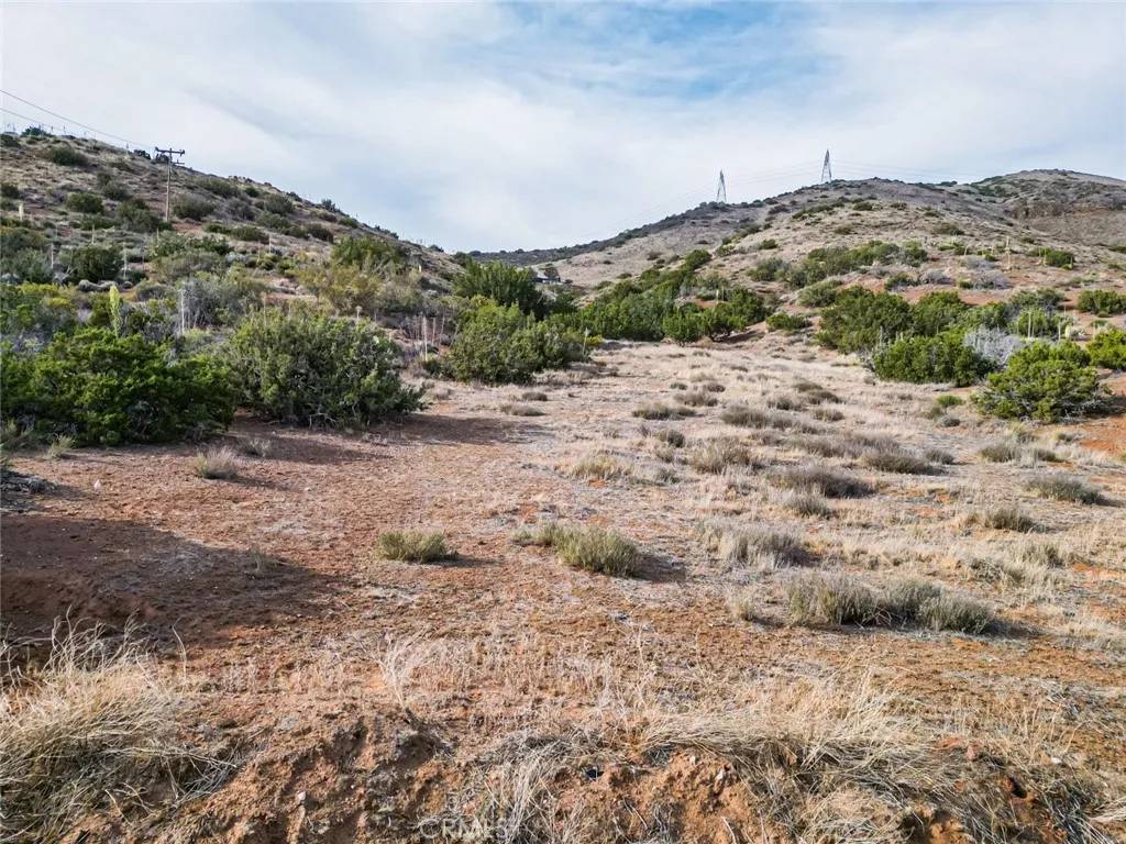 Acton, CA 93510,0 Dwightlee