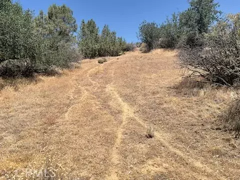 Caliente, CA 93518,0 Rancheria Creek