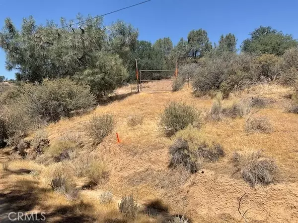 Caliente, CA 93518,0 Rancheria Creek