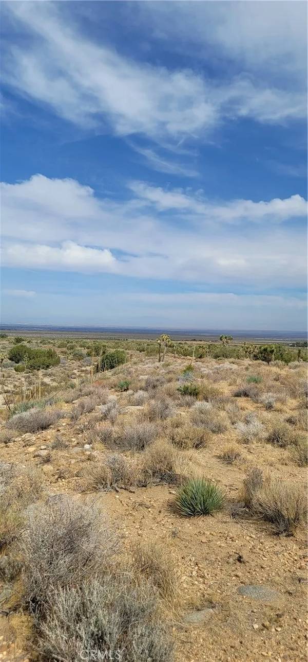Llano, CA 93544,0 Avenue Y