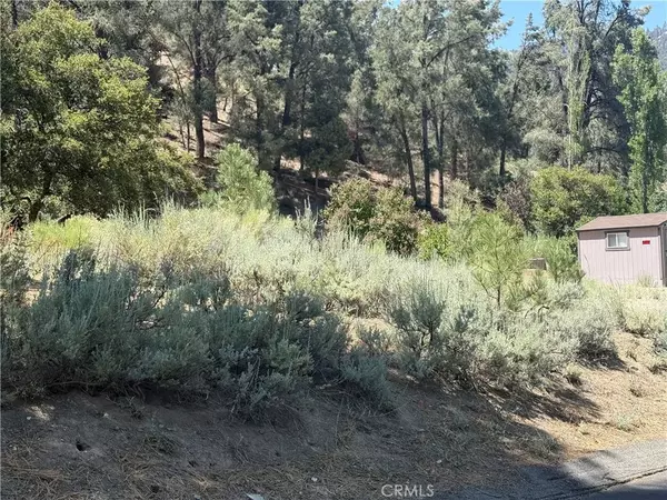 Pine Mountain Club, CA 93222,2221 Symonds