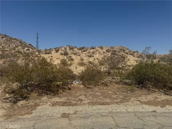 Lake Los Angeles, CA 93591,162 High Chaparral