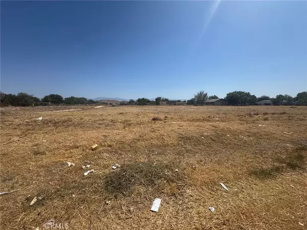 Lake Los Angeles, CA 93535,175 Ave N8