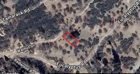 0 Walnut, Cedar Glen, CA 92321
