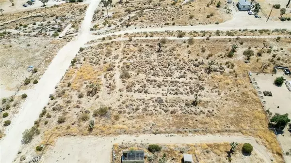 Pinon Hills, CA 92372,0 De La Rosa