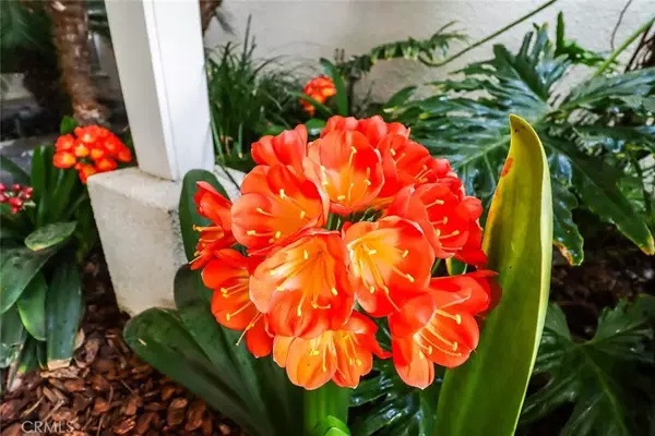 Encino, CA 91436,4575 De Celis Place