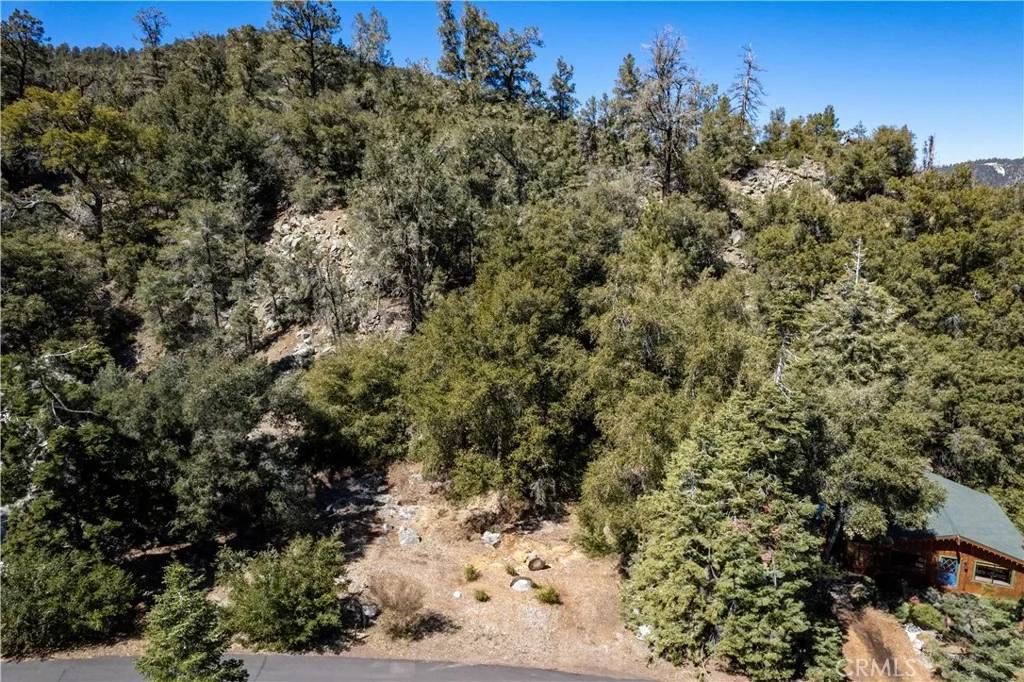 1301 Bernina, Pine Mountain Club, CA 93222