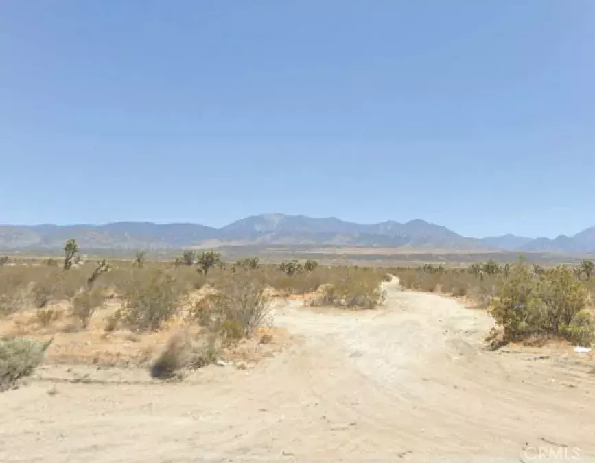 Llano, CA 93591,33400 187th East