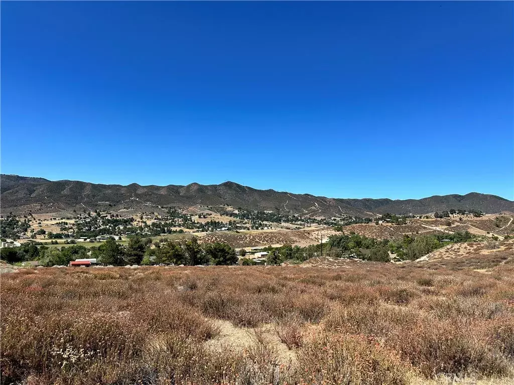 Leona Valley, CA 93551,90 W Avenue N-8