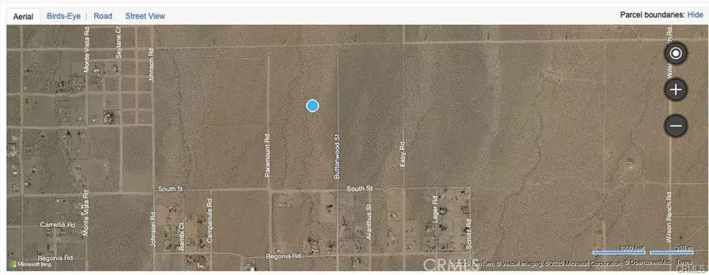 Phelan, CA 92371,0 Butonwood