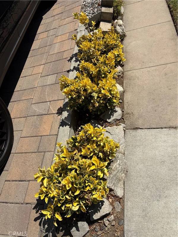 Glendale, CA 91205,1200 Green Street