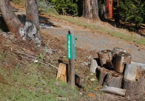 Pioneer, CA 95666,16625 Alpine Lane