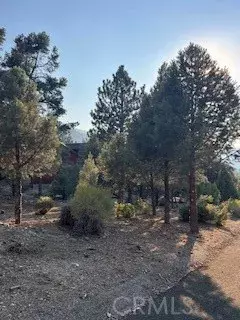 Pine Mountain Club, CA 93222,15120 acacia