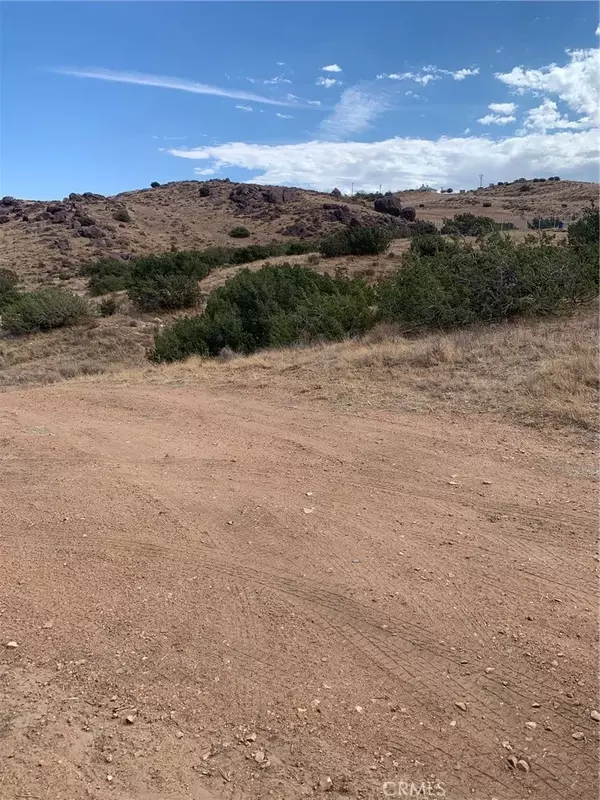 Palmdale, CA 93550,2 Rough