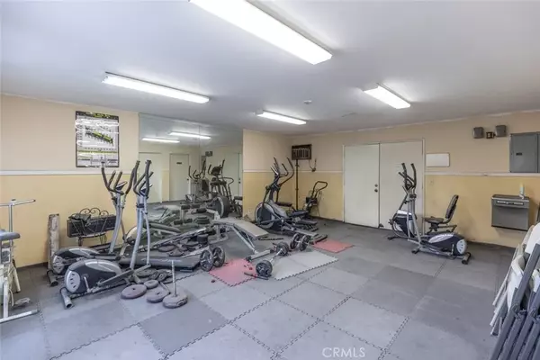 Glendale, CA 91203,330 Burchett Street #206