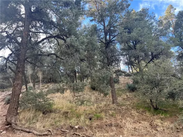 Frazier Park, CA 93225,0 Encino and Truman