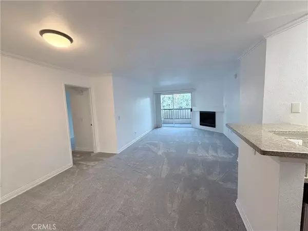 Woodland Hills, CA 91367,5535 Canoga Avenue #204