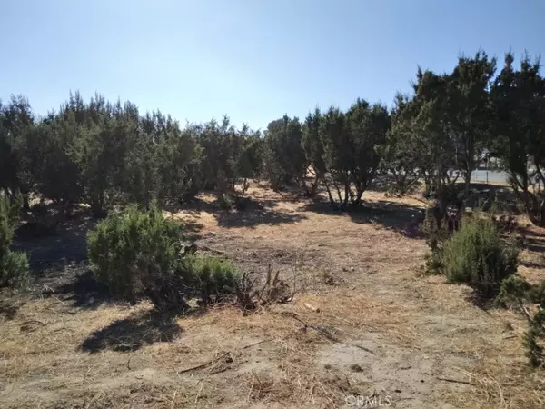 Agua Dulce, CA 91350,0 Agua Dulce Canyon