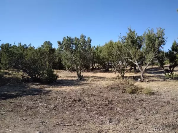 Agua Dulce, CA 91350,112 Agua Dulce Canyon