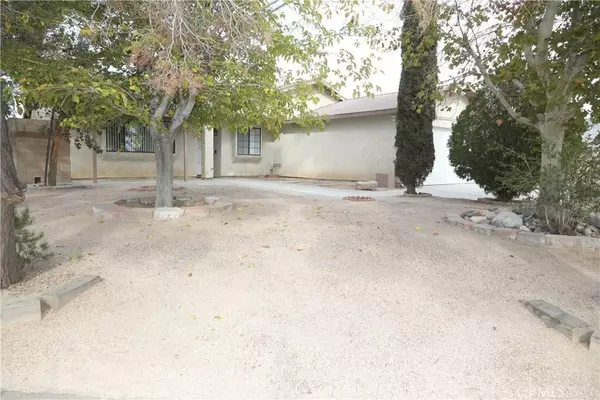 Rosamond, CA 93560,2137 Phlox