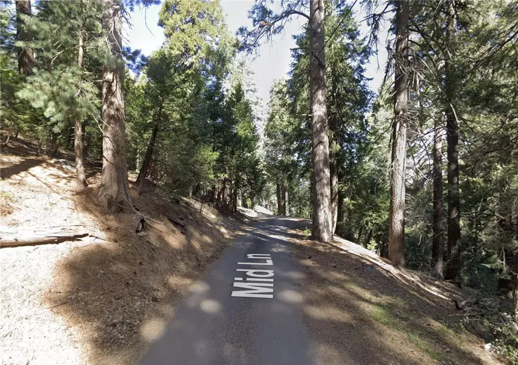 Twin Peaks, CA 92391,25547 Mid Ln
