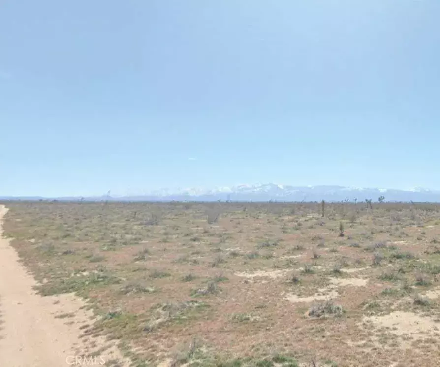 Adelanto, CA 92301,0 Cactus