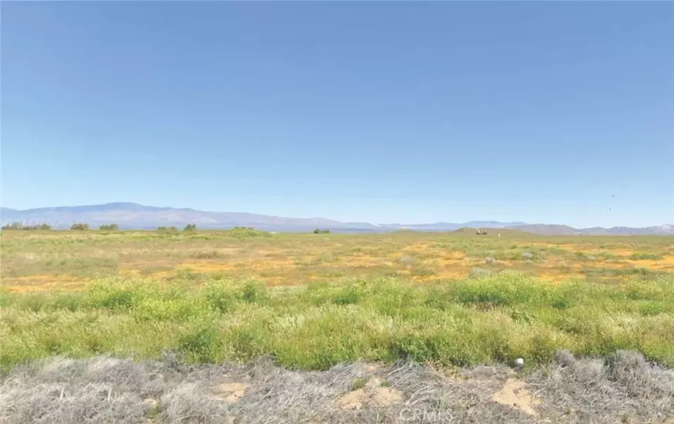 9800 Avenue C-8, Antelope Acres, CA 93536