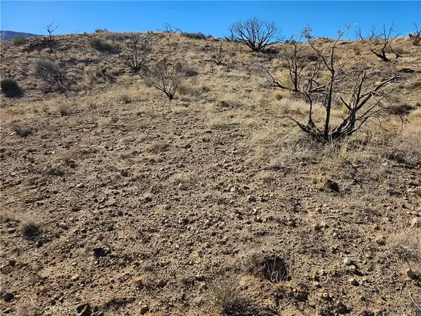 6 128th East, Juniper Hills, CA 93543