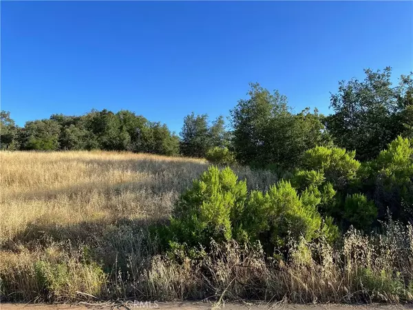 Murrieta, CA 92562,0 Redonda Mesa