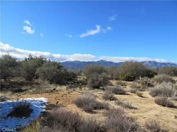 Mountain Center, CA 92561,45 Burlwood